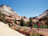 Brycezioncanyon-multi-1