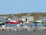 Martha_s-vineyard-bike-mene_a