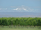 Argentina05