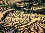 Gluns_nepal-43