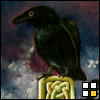 248raven_large
