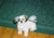 WiGuy