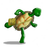Turtle_large