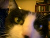 Video_snapshot_large