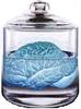 Allen_s_brain__blue_large