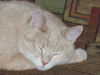 P8220066_large