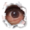 Eyes_large