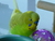 Olliebird