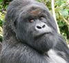 Africa2_337_large