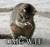 kittymiow