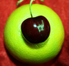 Cherry_large