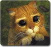 345_the_puss-in-boots-3_large