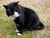 KittiPooEB