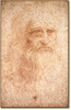 Self1_portrait_da_vinci_large