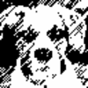 Avatar_02_animated_large