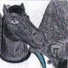 Blacksilver_lj_icon_large