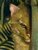 jaguarundi