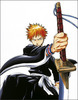Bleach-ichigo_large