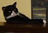 George_1_large