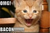 ajbuddy