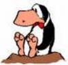 8zacaoat1f5cajrmjgmca7s9dapca7lbtfgcadl7gxwcatgy2lncajrividca4rh08jcap7g0y1ca4wxi4scaq6vi2ocaqnck9dcagg6117cal2jzbpcahzebxrca9rdykdcaj7a322caxowag3calidffj_large