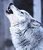 theshewolf