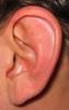Ear_large