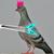 TheRockPigeon