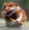 Ninja_hamster_from_cuteoverload__large