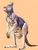 madKanga