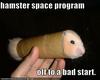 Hamster_space_program_off_to_a_bad_start_large