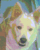 sylbert
