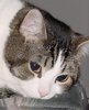 Louie_avatar_large