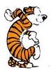 Calvin___hobbes_031608_large