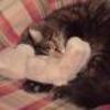 Small_version_of_tigger_hugging_kelsey_large