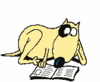 Dogreading_large