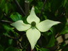 Dscn1893_large