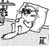 Lio_s_kitty_large