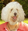 Mceehead_large