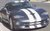 Vegas Viper