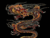 siredonnthedragon
