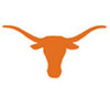 Longhorn_large