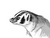 SCOTTtheBADGER