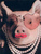 TheWildSow