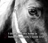 Images_large