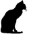 SCAATY_423