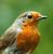 jamesrobin