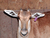 Bontebok
