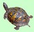 turtleman44