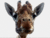 grazer